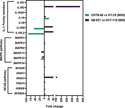 IL-1β enhances cell viability and decreases 5-FU sensitivity in novel colon cancer cell lines derived from African American patients